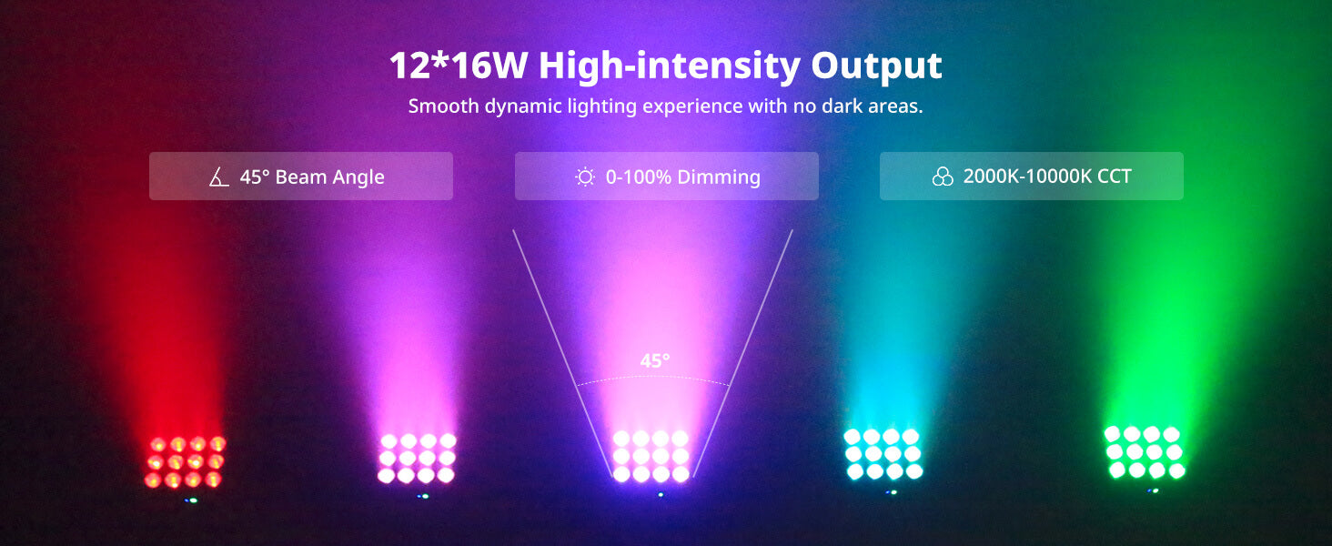 12×16W High-Intensity Output